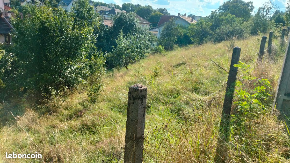 Deux parcelles constructibles (809 et 879 m²) · à Creutzwald · 50 000 €