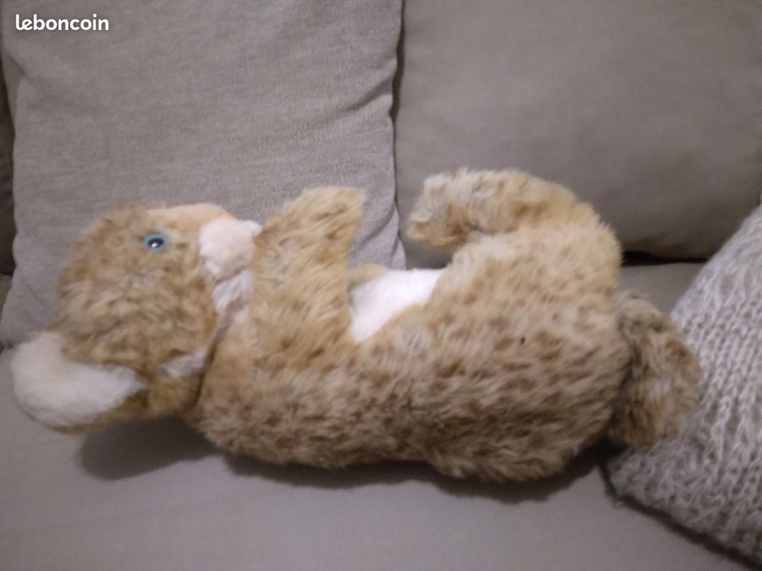 Peluche (image 2)