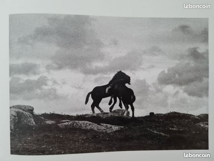 Livre d'Art, Édition collector, ouvrage photographique de Michelle Le Braz (image 2)
