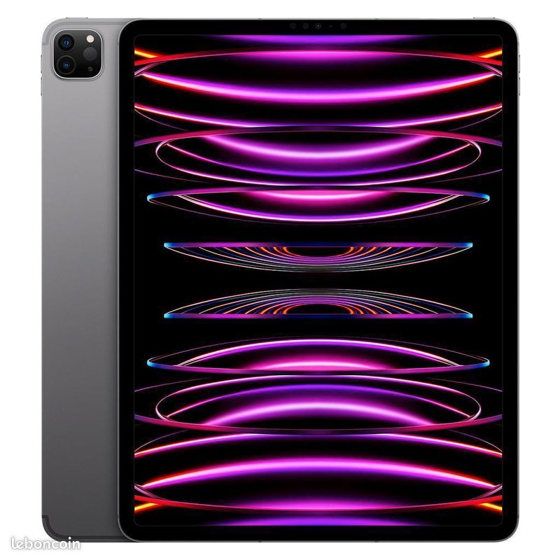 IPad pro 13" 6 ème gen 256 GB (wifi+cellular) (image 1)