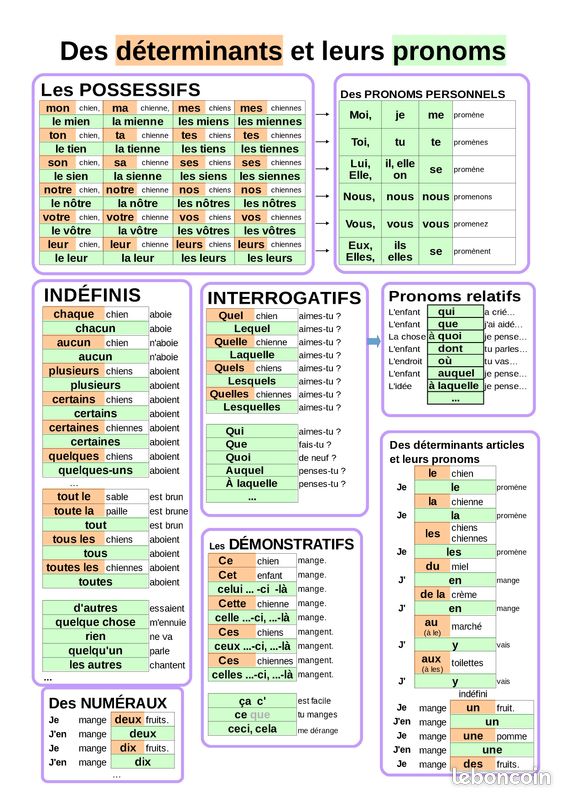 DICOCO, multi-dictionnaire pour le primaire (image 3)