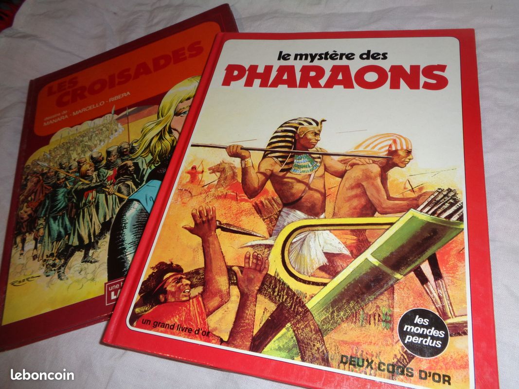 Lot 2 livres (image 2)