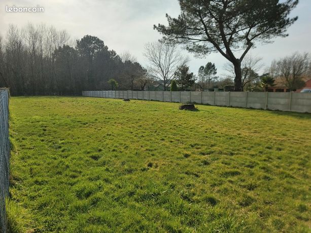 Terrain 2 580 m² Lesparre Medoc