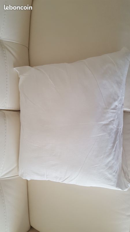 Oreiller 55 X 55 cm (image 1)