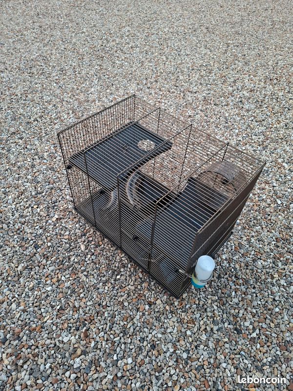 Cage hamster (image 5)
