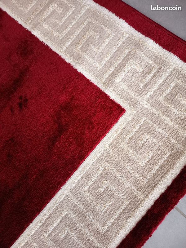 Deux tapis de salon (image 4)