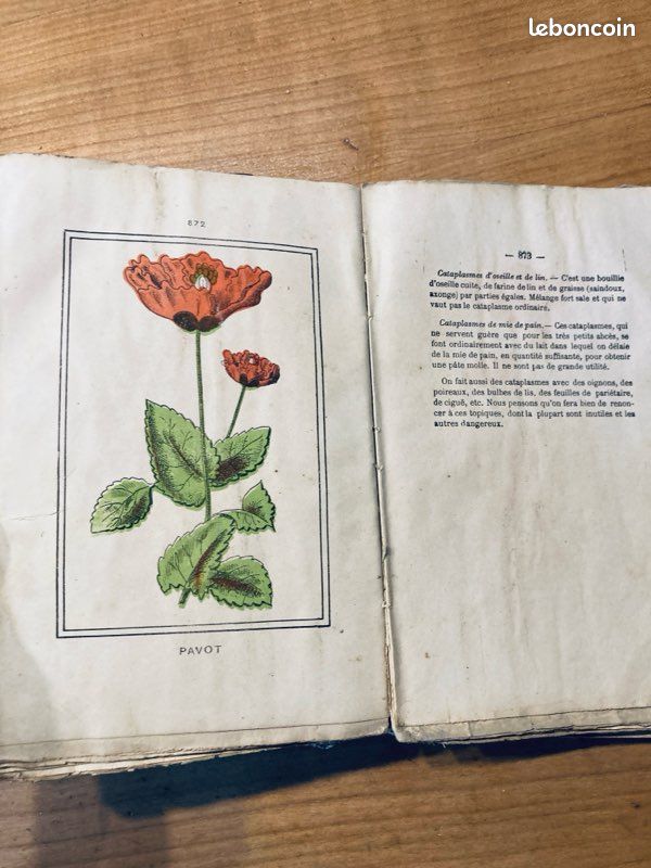 Livre ancien de médecine familiale (image 3)