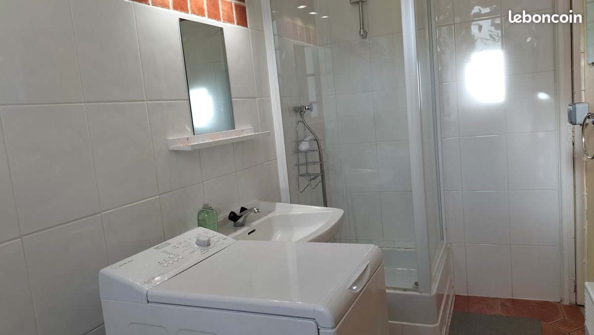 Coeur de ville amelie les bains (image 5)