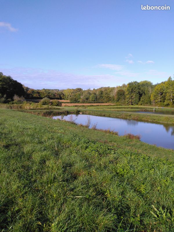 Etangs et lacs (image 2)