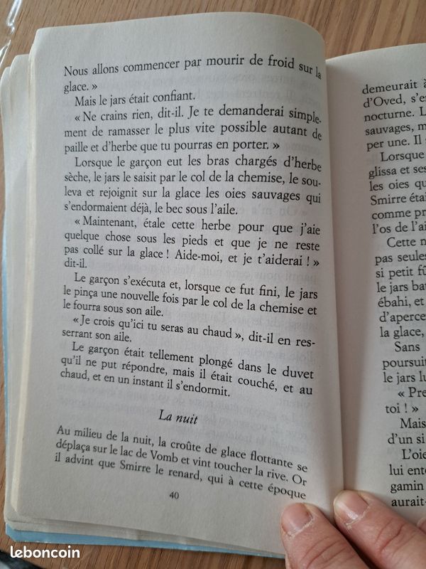 Le merveilleux voyage de Nils Holgersson (image 3)