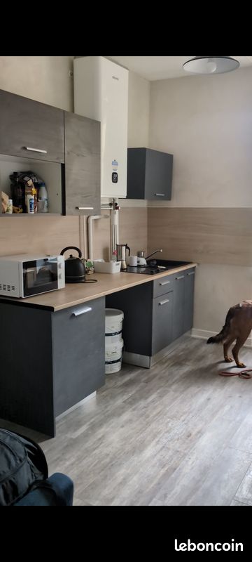 Appartement 1 pièce 25 m² · à Villeurbanne · 25 m² · 600 €/mois