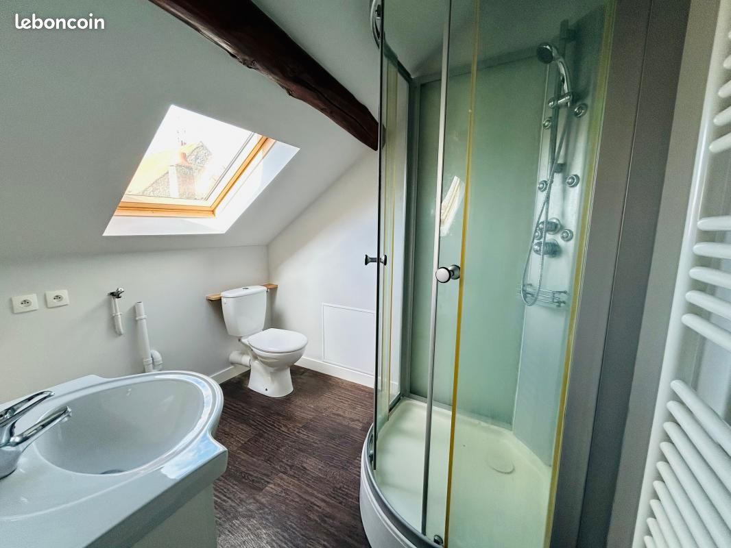 Appartement 1 pièce 28 m² - Châtellerault 86100 (image principale 3)