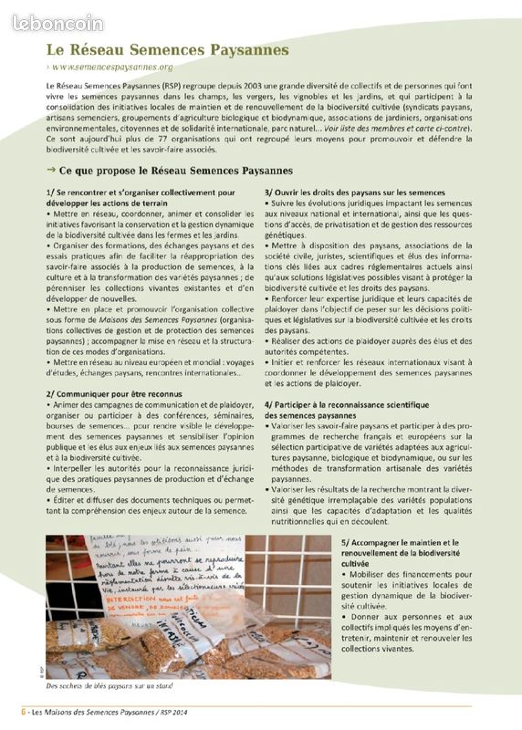 /Semences paysannes (image 2)