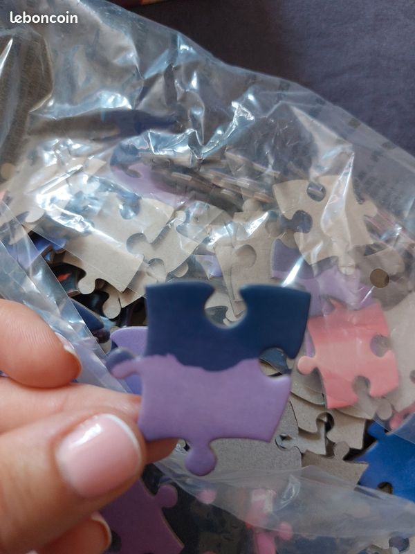 Puzzle 300 pièces (image 5)