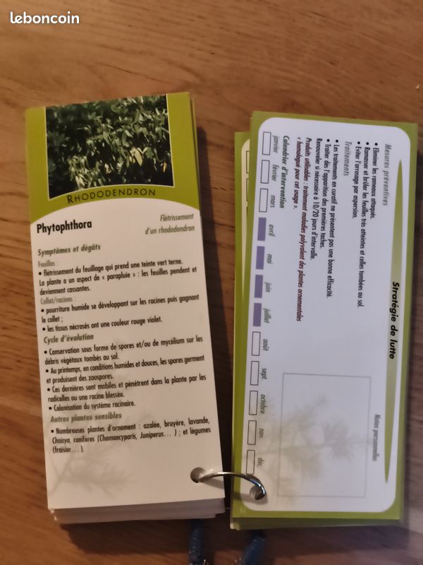 Insectes et maladies Plantes d'ornement (image 2)