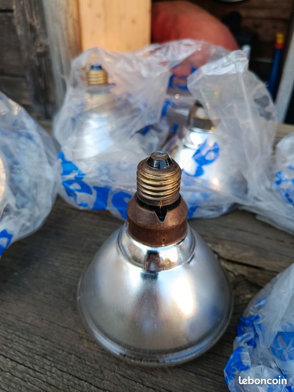 Lot 7 ampoules 150 w (image 3)