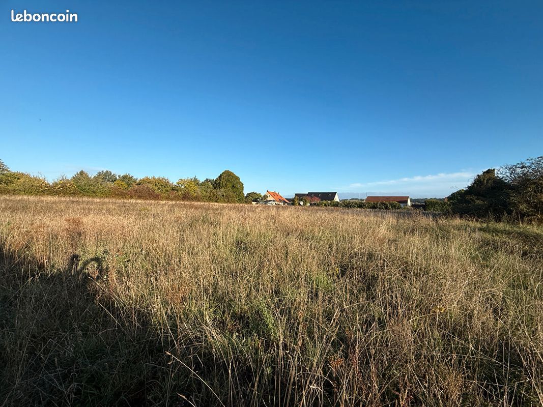 Terrain 7843 m² · à Ingrandes · 7 843 m² · 98 000 €
