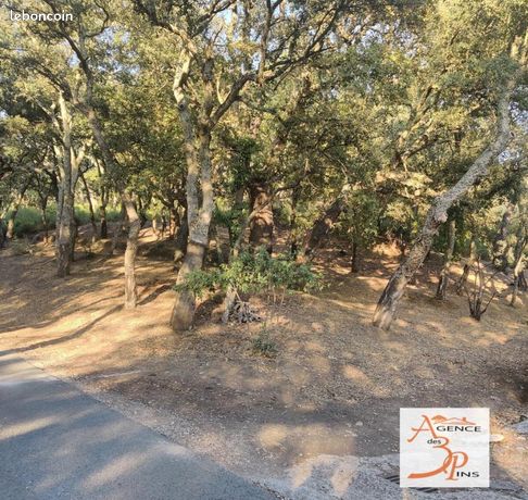 Terrain 29 285 m² Collobrieres
