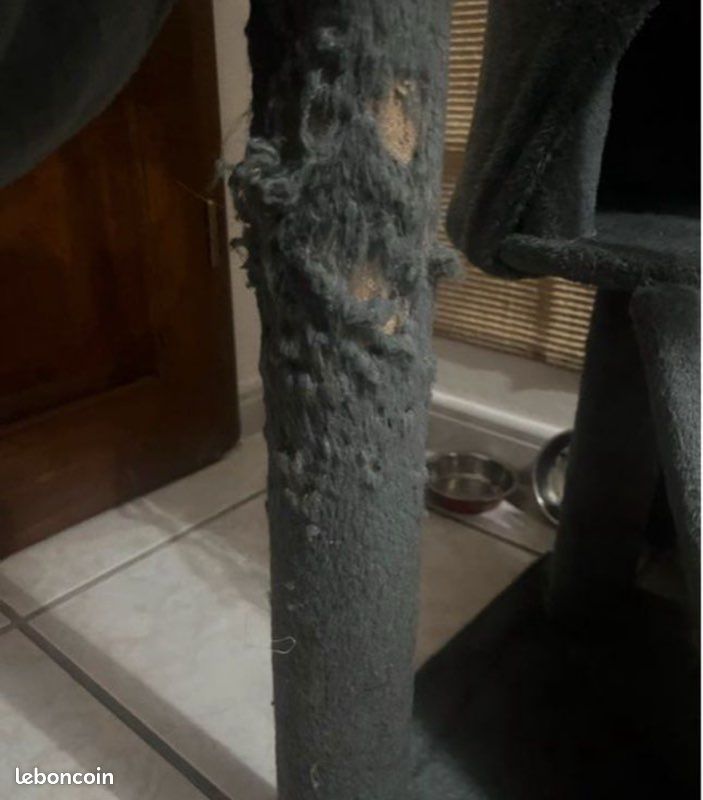 Arbre à chat (image 3)