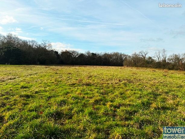 Terrain 571 m² Noé
