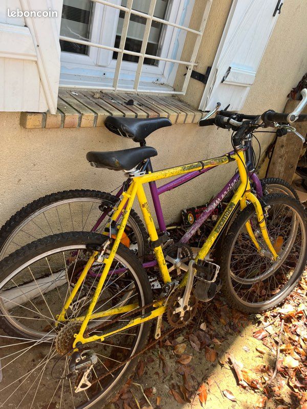 3 vélos (image 2)