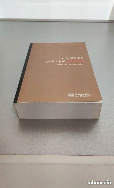 Le système politique chinois (image 2)