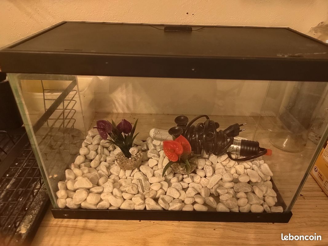Aquarium vendu avec chauffage (image 1)