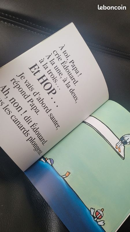 Livre poule mouillée (image 2)