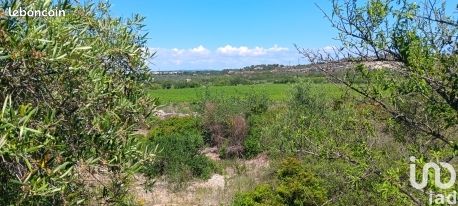 Terrain 12635 m² Sigean