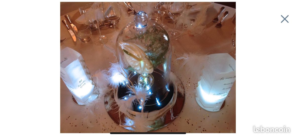 Cloche en verre (image 1)