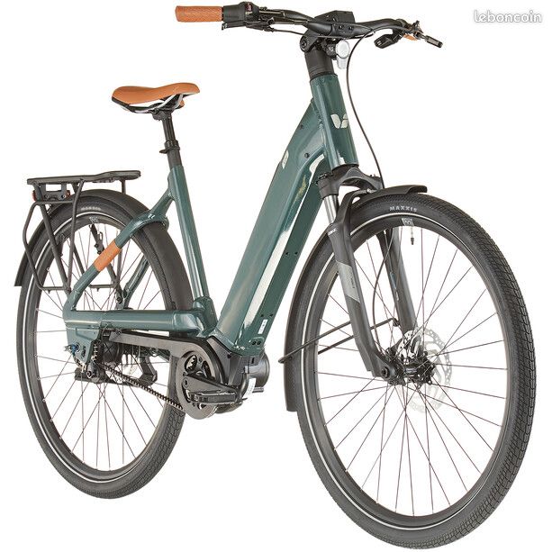 A saisir : vélo électrique GIANT (image 2)