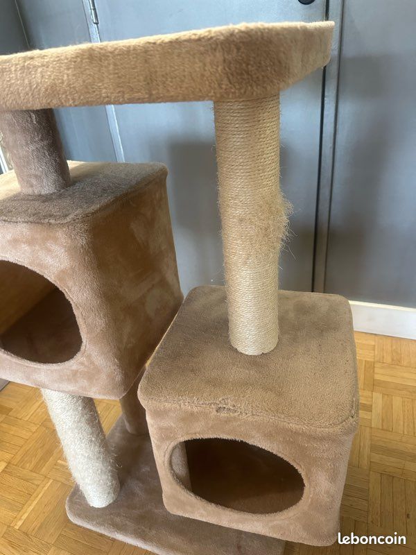 Arbre à chat (image 2)