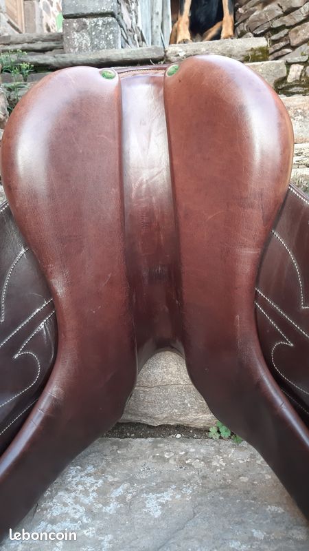 Selle de dressage (image 3)