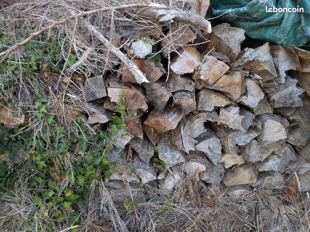 Bois de chauffage pin 50 Les 2 stères (image 1)