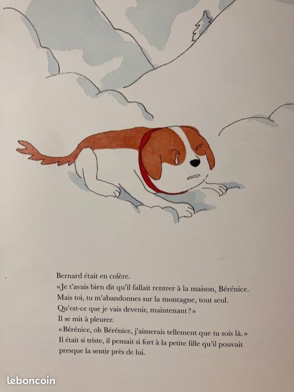 Joli Album « chien Bernard « Comme neuf (image 3)