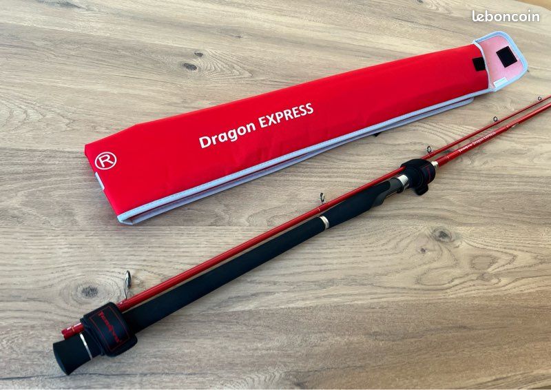 Tenryu Dragon express (image 2)