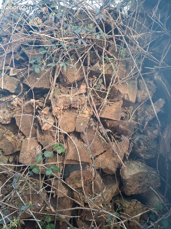 Bois de chauffage chene (image 1)