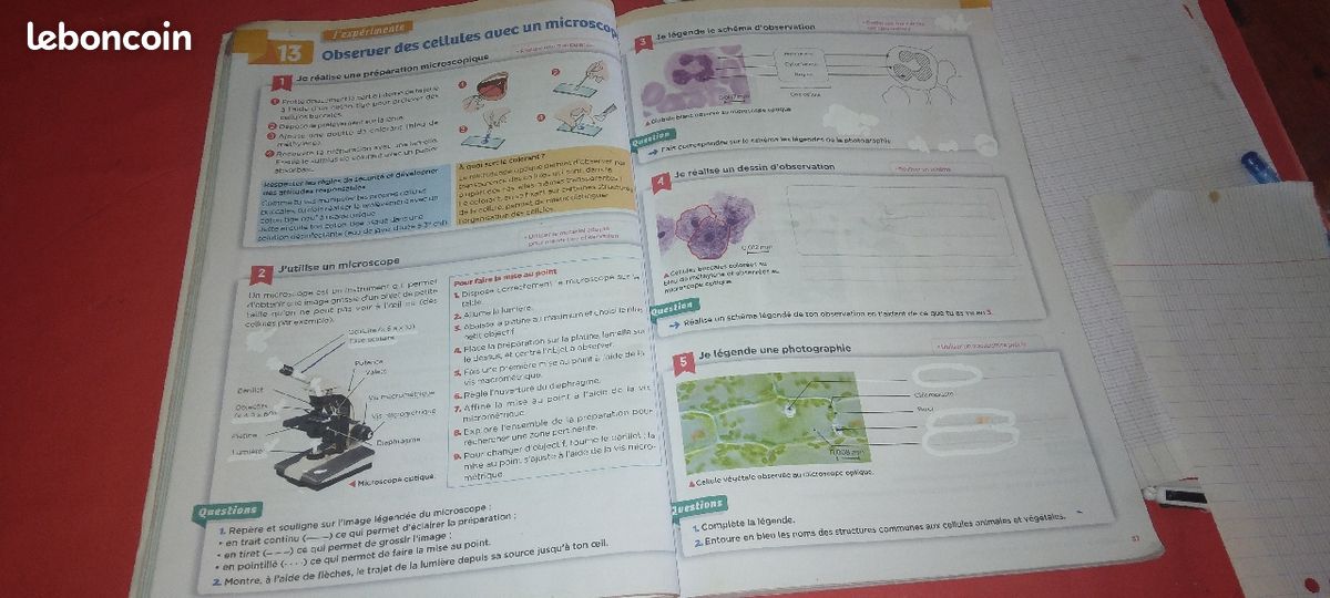Mon cahier d'activité sciences et technologie 6e fin de cycle 3 (image 3)
