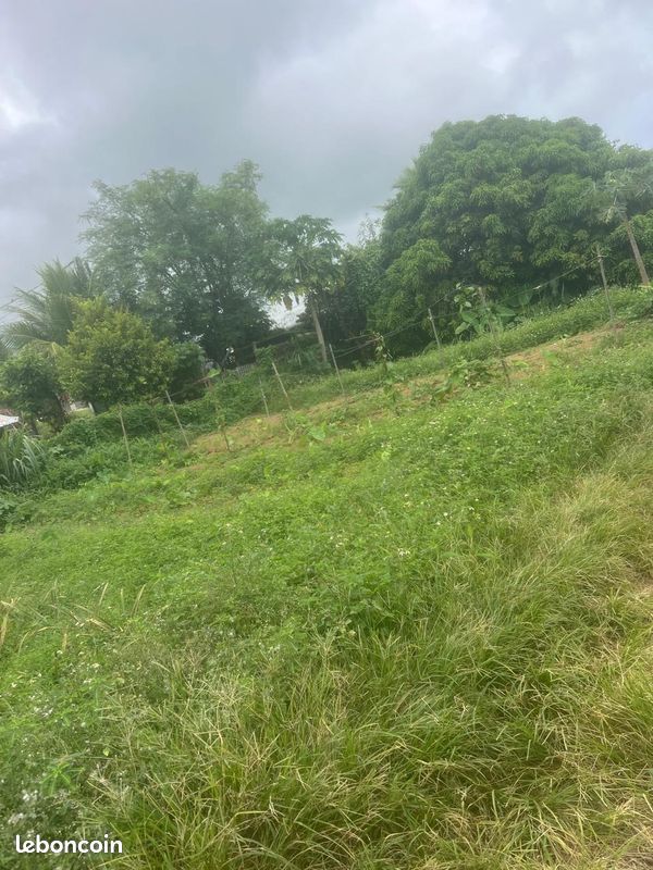Terrain d exception · à Capesterre-Belle-Eau · 65 000 €