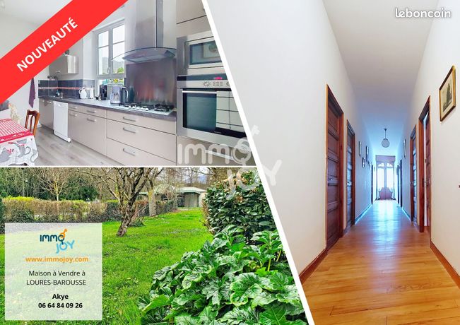 Maison 9 pièces 237 m²