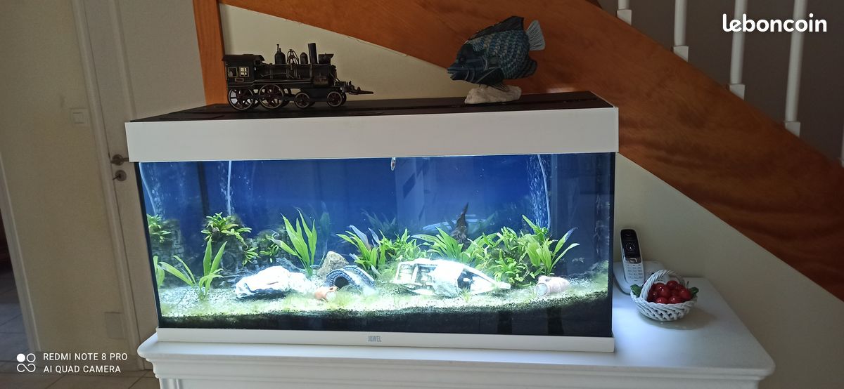 Aquarium 200 l. Tout équipé (image 1)