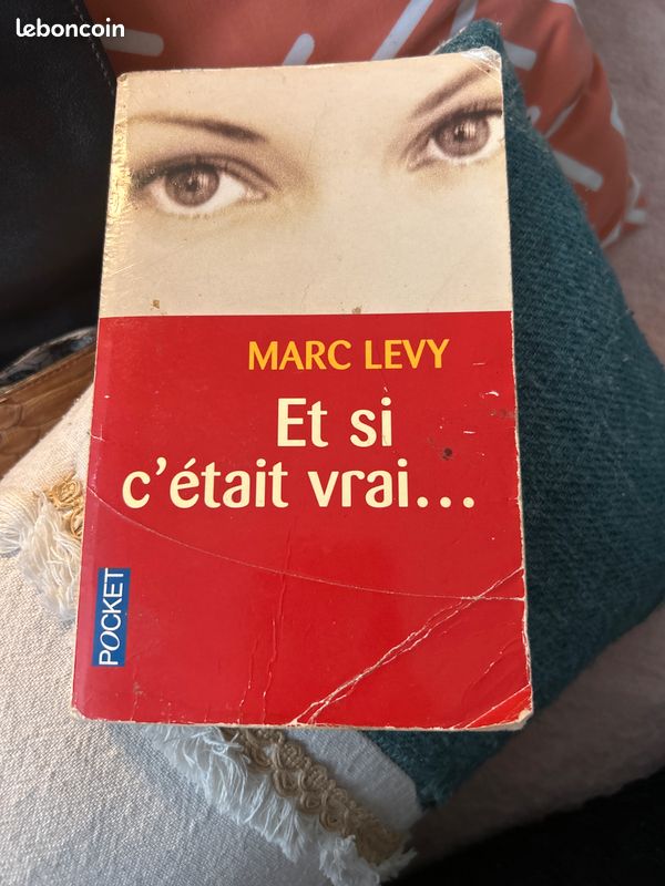 Et si c’était vrai… (image 1)
