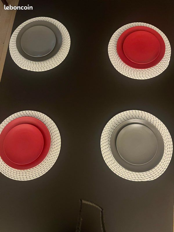 19Assiettes Guy Degrenne (image 4)
