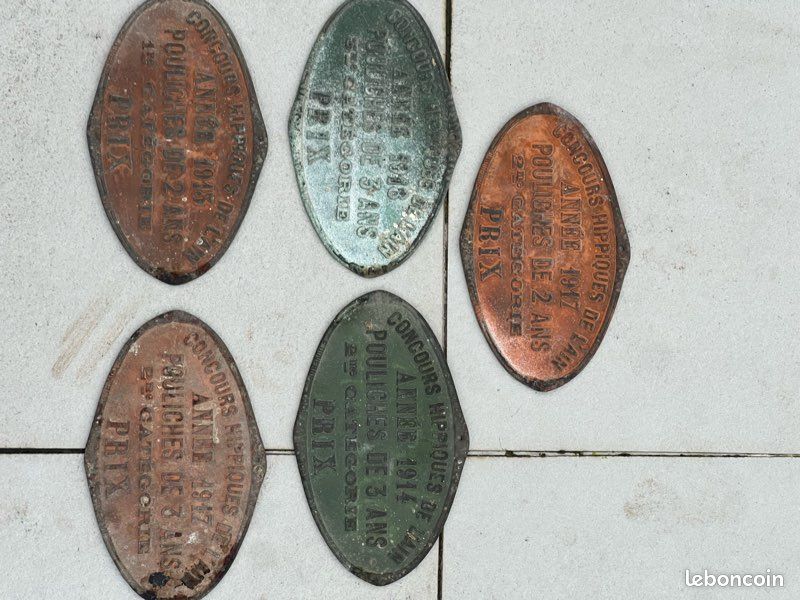 Plaque commémorative hippisme militaire - Le Brocanteur nomade