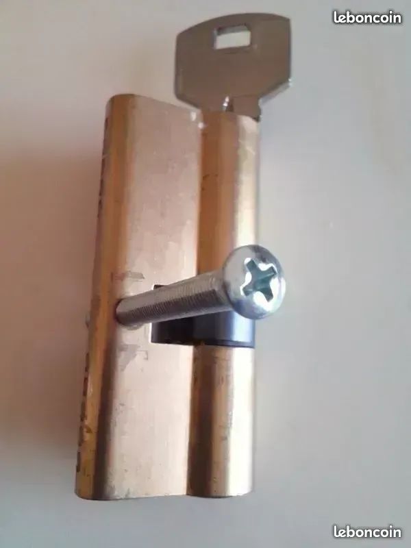2 barillets serrure (image 2)