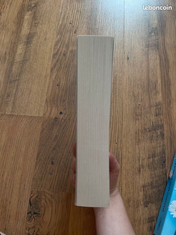 Lot 2 livres new romance (image 4)