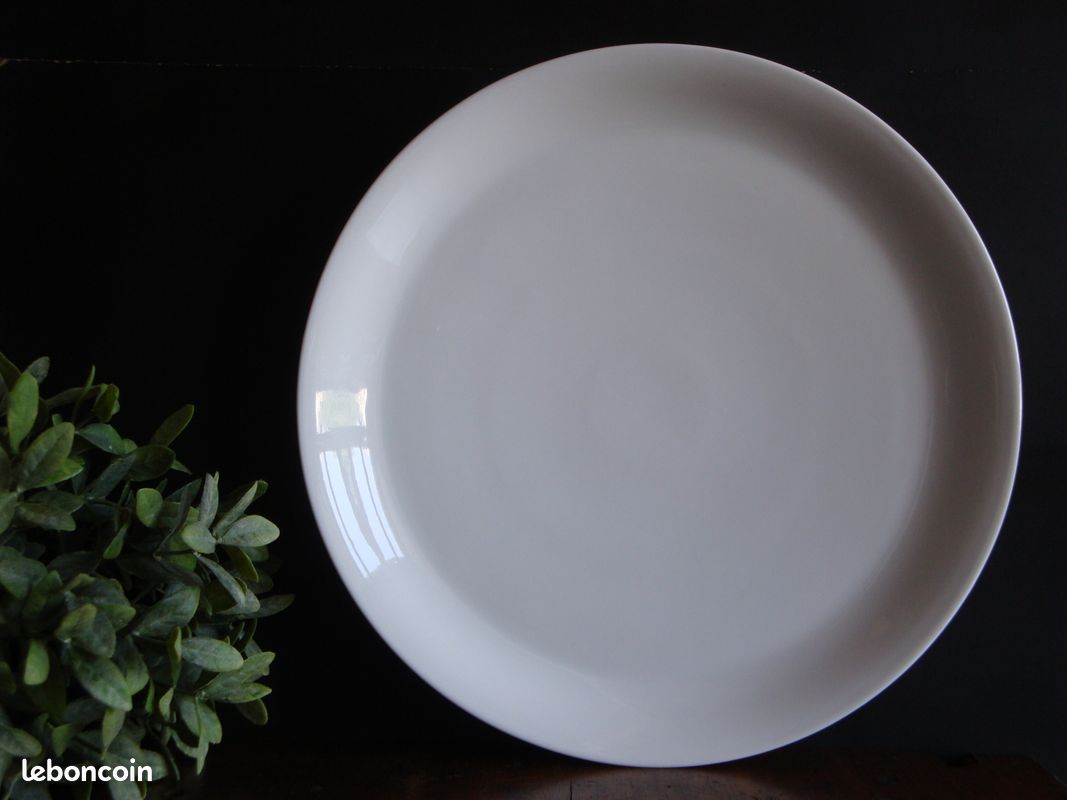 Un grand PLAT vierzonnais Arts de la table