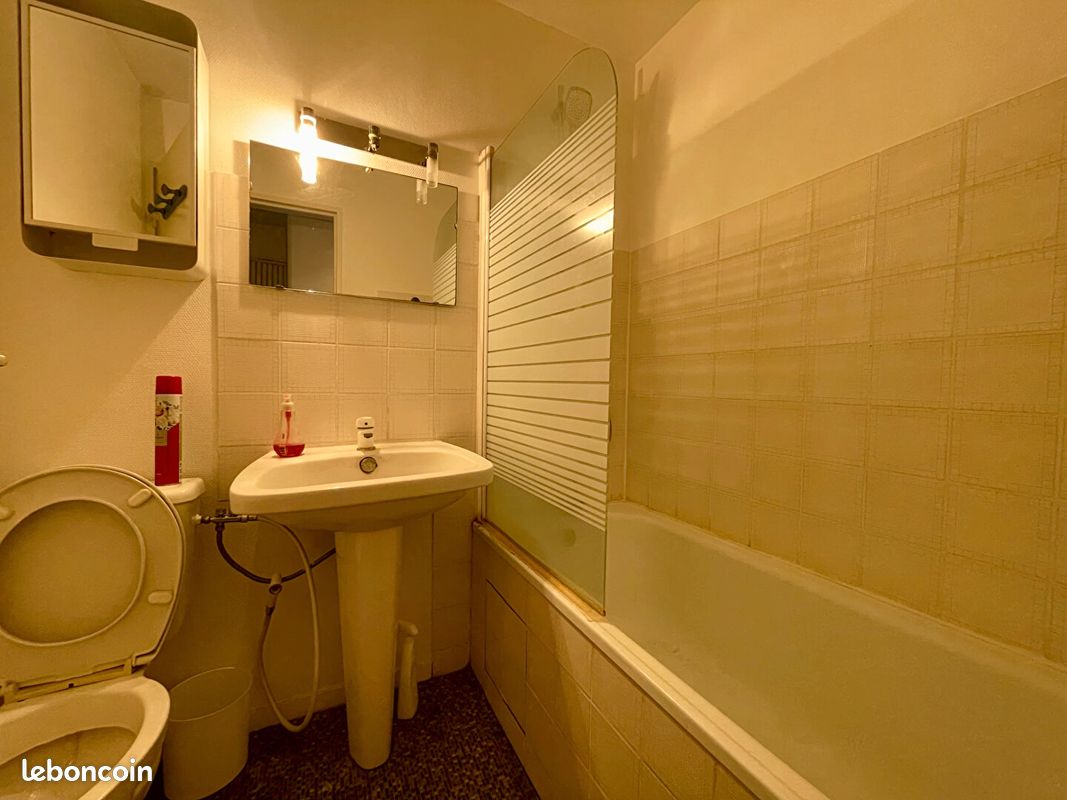 Appartement 1 pièce 25 m² - Bordeaux 33000 (image principale 4)