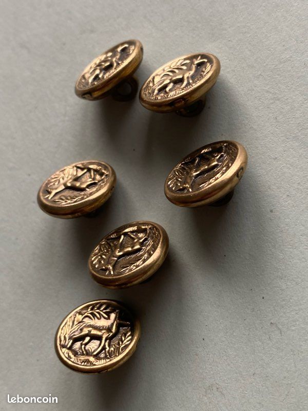 Boutons de chasse - Collection