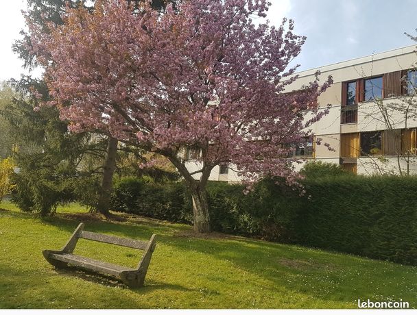 Location appartement Orsay proche Université Paris-Saclay